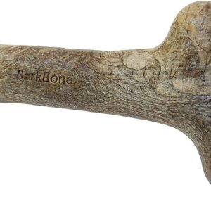 Pet Qwerks Dinosaur BarkBone - Nylon Dog Bone for Aggressive Chewers