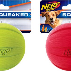 Nerf Dog Squeak Ball